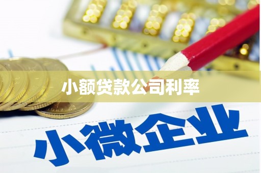 宽甸小额贷款公司利率