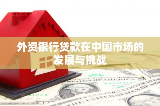 宽甸外资银行贷款在中国市场的发展与挑战