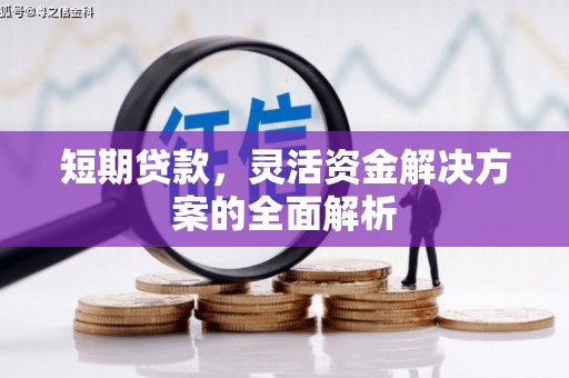 宽甸短期贷款，灵活资金解决方案的全面解析