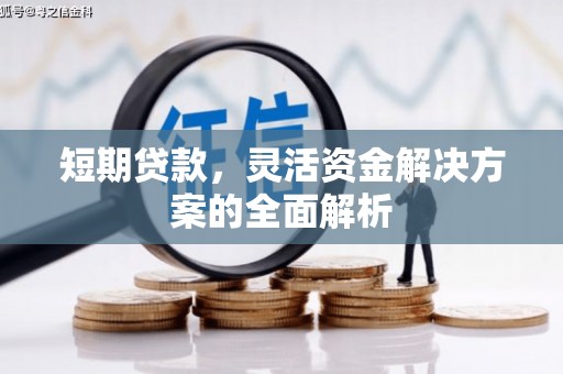 宽甸短期贷款，灵活资金解决方案的全面解析