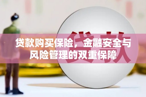 宽甸贷款购买保险，金融安全与风险管理的双重保障