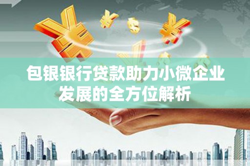 宽甸包银银行贷款助力小微企业发展的全方位解析