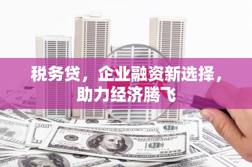宽甸税务贷，企业融资新选择，助力经济腾飞