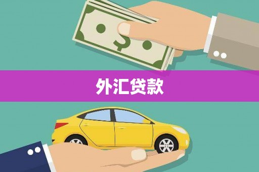 宽甸外汇贷款