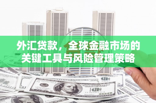 宽甸外汇贷款，全球金融市场的关键工具与风险管理策略