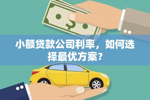 宽甸小额贷款公司利率，如何选择最优方案？