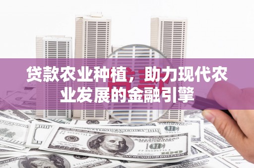 宽甸贷款农业种植，助力现代农业发展的金融引擎