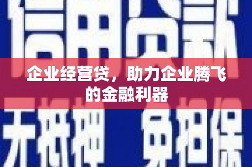宽甸企业经营贷，助力企业腾飞的金融利器