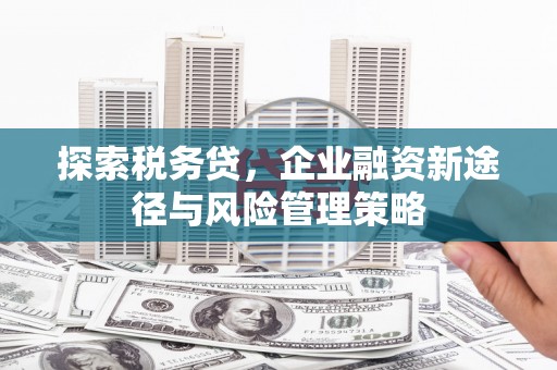 宽甸探索税务贷，企业融资新途径与风险管理策略