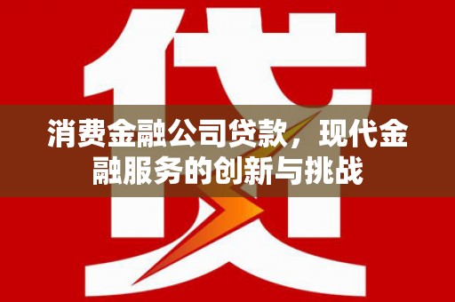 宽甸消费金融公司贷款，现代金融服务的创新与挑战
