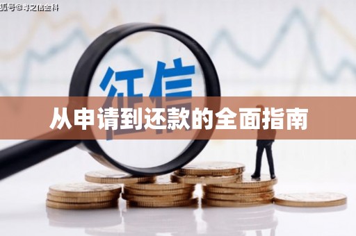 宽甸从申请到还款的全面指南