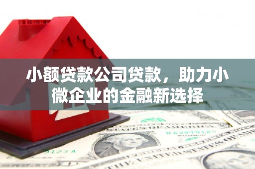 宽甸小额贷款公司贷款，助力小微企业的金融新选择