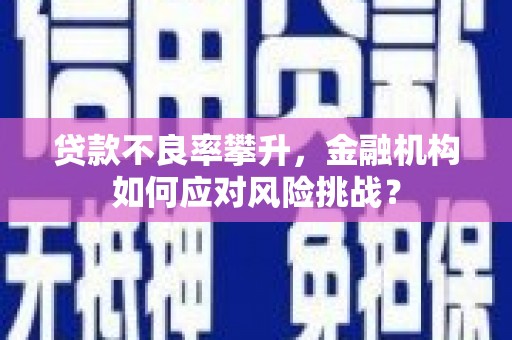 宽甸贷款不良率攀升，金融机构如何应对风险挑战？