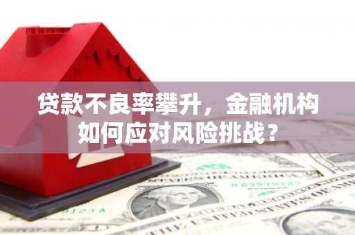 宽甸贷款不良率攀升，金融机构如何应对风险挑战？