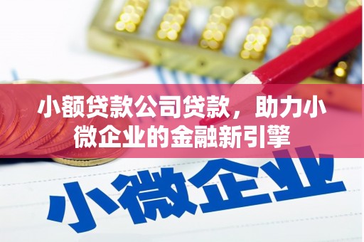 宽甸小额贷款公司贷款，助力小微企业的金融新引擎