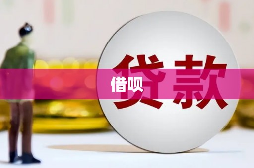 宽甸借呗