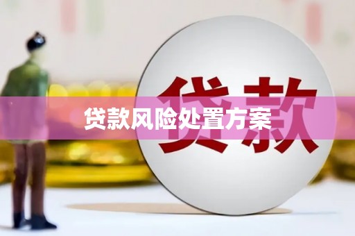 宽甸贷款风险处置方案