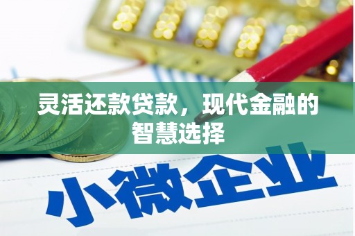 宽甸灵活还款贷款，现代金融的智慧选择
