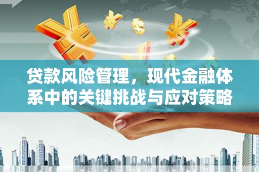 宽甸贷款风险管理，现代金融体系中的关键挑战与应对策略