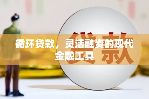 宽甸循环贷款，灵活融资的现代金融工具