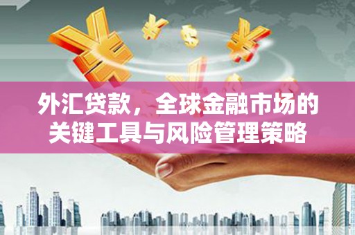 宽甸外汇贷款，全球金融市场的关键工具与风险管理策略