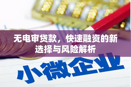 宽甸无电审贷款，快速融资的新选择与风险解析