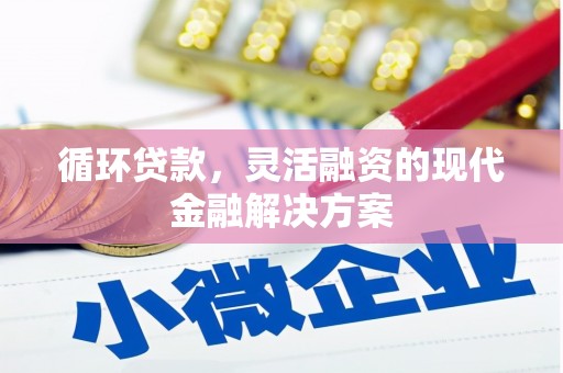 宽甸循环贷款，灵活融资的现代金融解决方案
