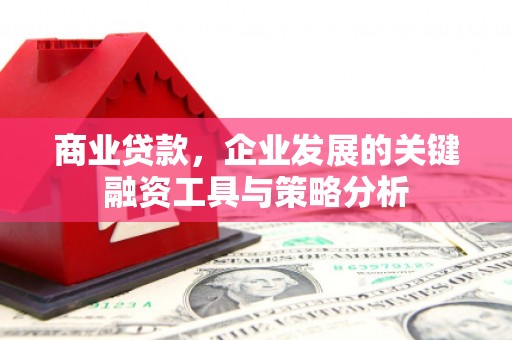 宽甸商业贷款，企业发展的关键融资工具与策略分析