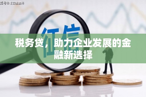 宽甸税务贷，助力企业发展的金融新选择