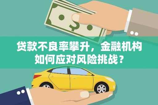 宽甸贷款不良率攀升，金融机构如何应对风险挑战？