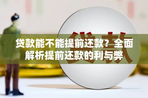 宽甸贷款能不能提前还款？全面解析提前还款的利与弊