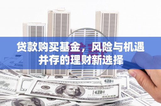宽甸贷款购买基金，风险与机遇并存的理财新选择