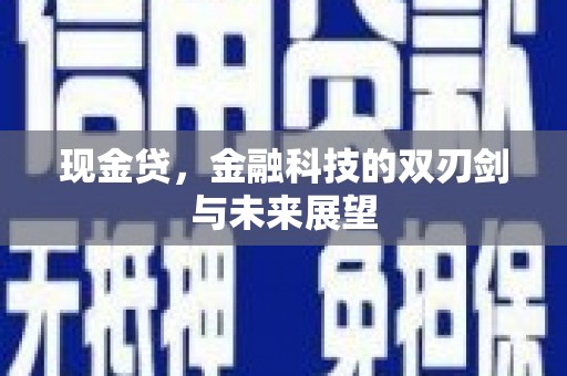 宽甸现金贷，金融科技的双刃剑与未来展望