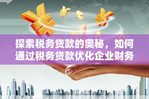 宽甸探索税务贷款的奥秘，如何通过税务贷款优化企业财务