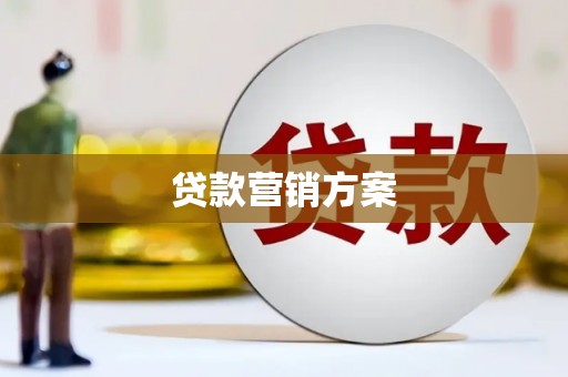宽甸贷款营销方案
