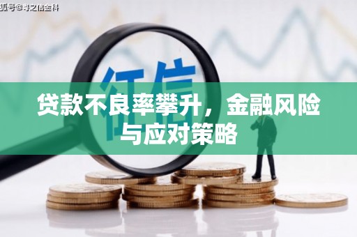 宽甸贷款不良率攀升，金融风险与应对策略
