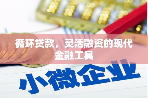 宽甸循环贷款，灵活融资的现代金融工具