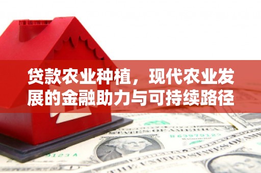 宽甸贷款农业种植，现代农业发展的金融助力与可持续路径