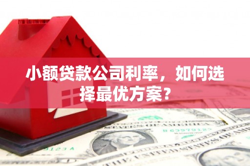 宽甸小额贷款公司利率，如何选择最优方案？