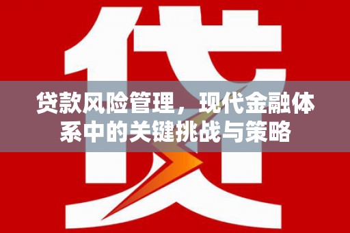 宽甸贷款风险管理，现代金融体系中的关键挑战与策略
