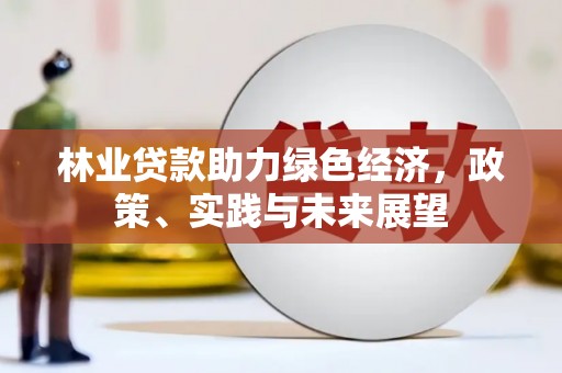 宽甸林业贷款助力绿色经济，政策、实践与未来展望