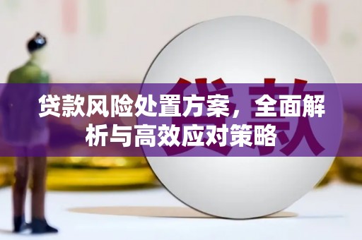 宽甸贷款风险处置方案，全面解析与高效应对策略