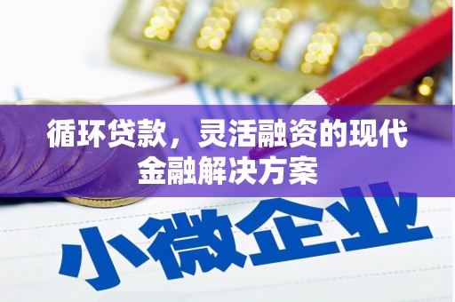 宽甸循环贷款，灵活融资的现代金融解决方案