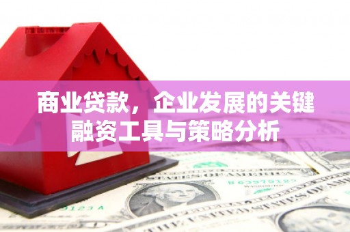 宽甸商业贷款，企业发展的关键融资工具与策略分析