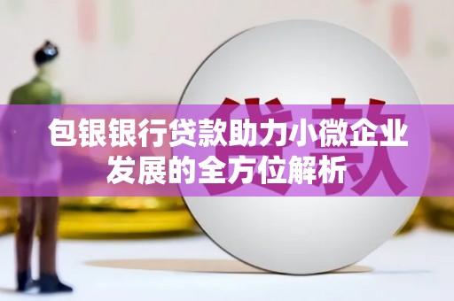 宽甸包银银行贷款助力小微企业发展的全方位解析