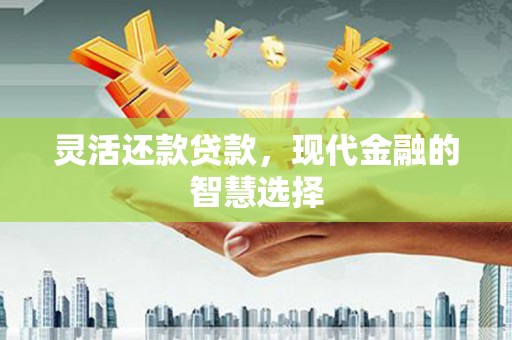 宽甸灵活还款贷款，现代金融的智慧选择