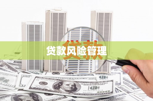 宽甸贷款风险管理