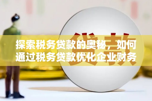 宽甸探索税务贷款的奥秘，如何通过税务贷款优化企业财务