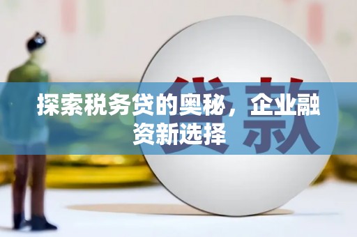 宽甸探索税务贷的奥秘，企业融资新选择