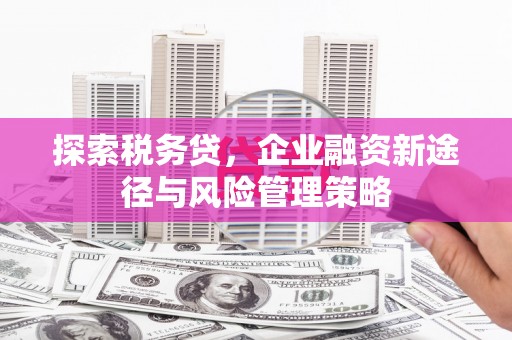 宽甸探索税务贷，企业融资新途径与风险管理策略